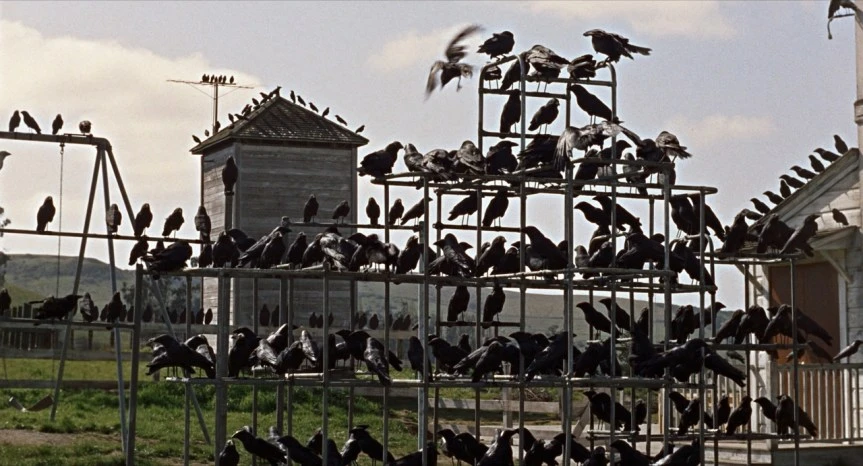 The Birds