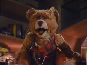 the old bear